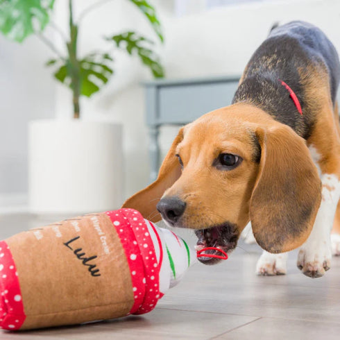 Huxley & Kent Latte My Way Dog Toy - Small